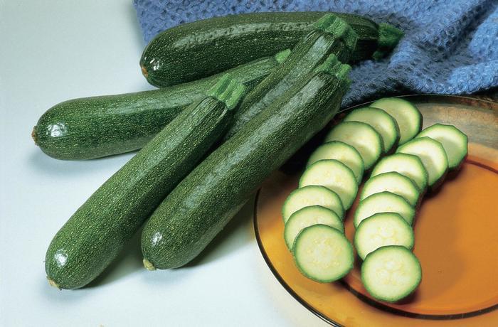 Cucurbita pepo Burpee Hybrid