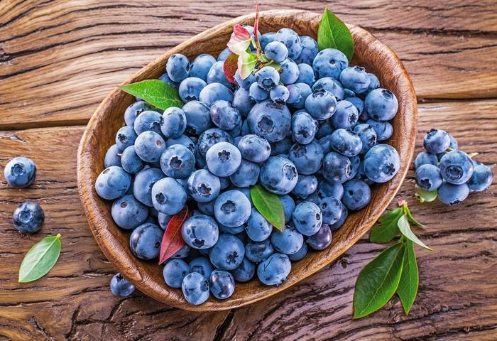 Vaccinium angustifolium Blueray